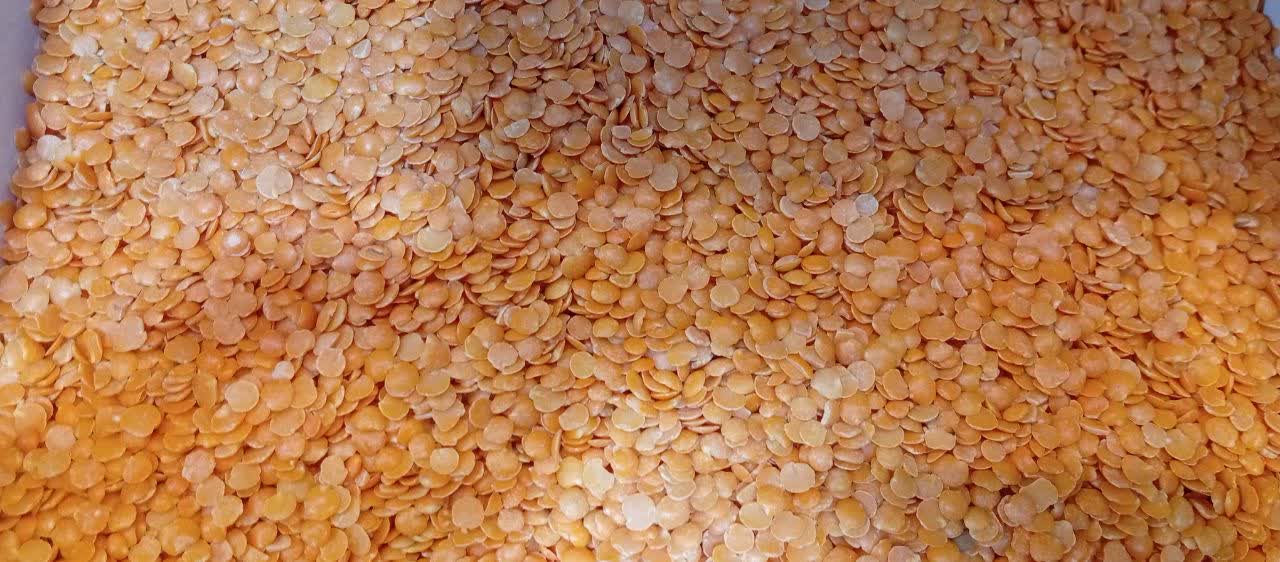 دال عدس — فروشگاه ویتامین اصفهان